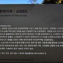 의사오흥태지려 이미지