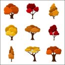 나무그림 이미지