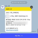 용PC랜드 | 🥰 백예린콘서트, &#39;Flash and Core&#39; 2025 Yerin Baek Concert / 251025 관람 후기 🎺🎤