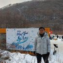 속초 교회 예배 태백산 국립공원 당골광장 눈 축제 제임스 카메론 아바타 2 물의길 이글루 얼음썰매 여행 미끄럼틀 한우 안심 부동산 3 이미지