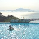 광포전자 | 경남 남해 가족 풀빌라 대형 수영장 감성 숙소 사천 나인뷰풀빌라