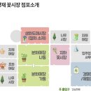 중도매인51호 | 서울 양재꽃시장 구매 후기(+영업시간,주차정보)