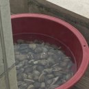 어랑어랑한잔 | 20년 내공의 로컬 현지 찐맛집 '어랑어랑 해물칼국수' 애월점 후기