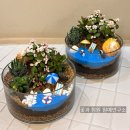 자연과식물원예연구소 이미지