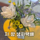 베로니카네집 | 생화배송 양재 꽃시장 지.향 쿠르쿠마 베로니카 후기