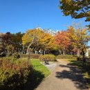 참전비근린공원 이미지