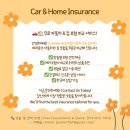 [캐나다 보험상식]보험료절약 꿀팁 이미지