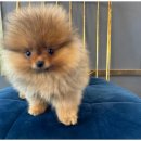 감동메디칼 이미지