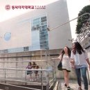 [자격증 취득과정] 진로적성상담사(2) 네이버블로그