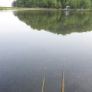 비들지낚시터 이미지