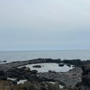 남방약국 | 2026.02.19 [제주 Day 2] 히든클리프, 중문 고등어 쌈밥, 에가톳 라이브러리, 협재해수욕장, 노을...