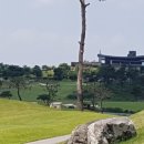 그린골프교실 이미지