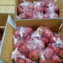 영준 농장 이미지