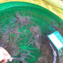 서희수산 이미지