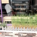 용천식당 이미지