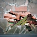 회성동200 이미지