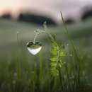 그립고 또 그리운 사람 - 꽃씨야 이미지
