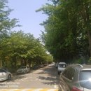 시영아파트7동