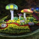 동신안경 이미지