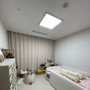 로하스 | [내돈내산] 동탄 커튼업체 추천, 입주아파트 로하스 커튼 후기