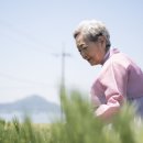 소풍에서 JTBC