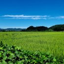 서원주역 이미지