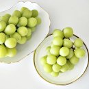 복주농장 이미지