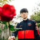 스위트투어