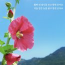 미투헤어샵 이미지