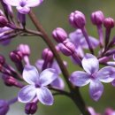 천연화장품 만들기 이미지