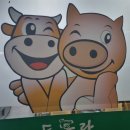 돈우랑 - 광양시 대림오성로 40 | 돈우랑