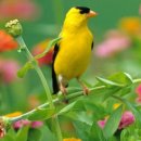 뷰티풀모텔 이미지