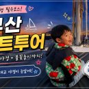 광안대교요트투어SEAHOLIC | 부산 해운대 요트투어 후기🎆 광안대교 불꽃놀이까지 완벽했던 부산 여행 코스 (내돈내산)