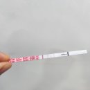 소리를 듣다 | 🤰 임신 7주차, 드디어 아기 심장소리를 듣다! | 초보맘의 임신 초기 후기