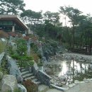 포레스트31 이미지