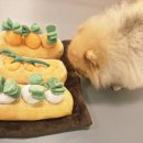 헬로멍뭉 이미지