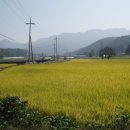 솔바우마을 이미지