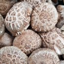 원일농장 이미지