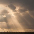 오케이모터스 이미지