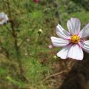 온소아청소년과의원 이미지