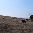 지산목장 이미지