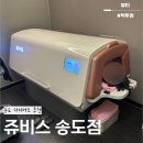 1 | 영종도 헬스장 송도 쥬비스 가격 다이어트 1주차 후기
