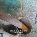 인천예일중 이미지