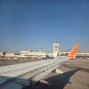 제이유니온 | 제주여행 4박 5일 12월 겨울제주여행1일차