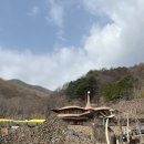 하동 구례 2박3일 여행 (2)ㅣ구례 맛집 카페 가볼만한곳 여행코스 후기