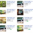 새해 여행, 자유여행 3박 4일 3Day : 루이린 메이, 흑당버블티, 곱창국수, 볼란도 우라이 프라이빗 온천...