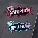 Another Nice Day #42 - 다린, 최인경, PL(피엘) 공연 후기❤️