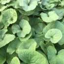 기두농장 이미지