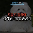 작은구름솜사탕 이미지