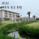 흰둥이네 인형뽑기 | 제주 서귀포 숙소 추천 소노캄 제주 후기 | 조식부터 하트나무 산책까지